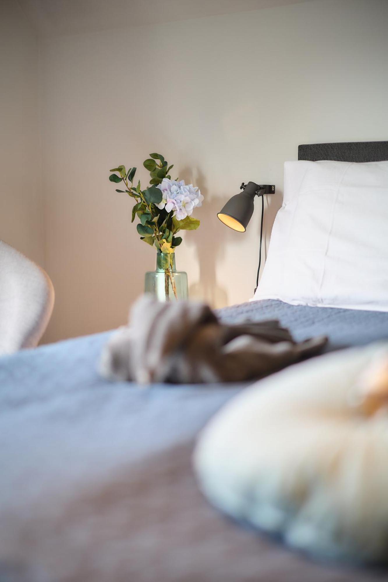 Villa Cecha B&B &Wellness Остенде Экстерьер фото