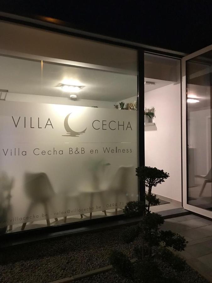 Villa Cecha B&B &Wellness Остенде Экстерьер фото
